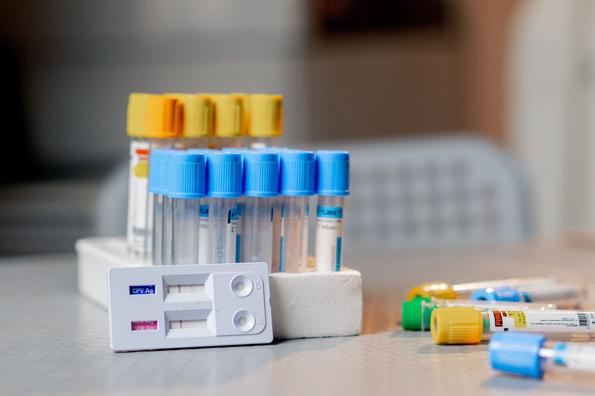 close-up in a veterinary clinic there are test tubes of different colors with tests on the table